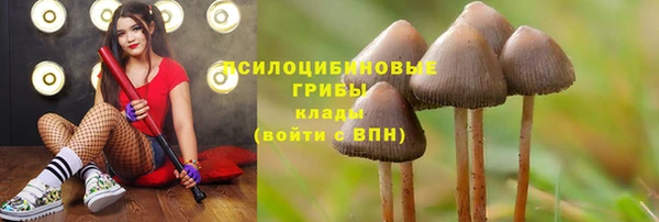 метадон Абаза