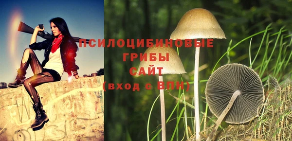 спиды Абдулино