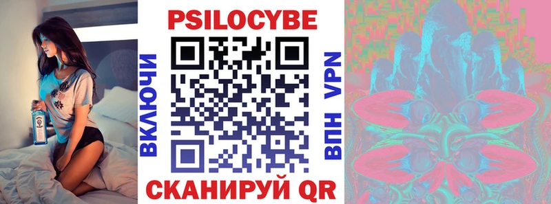 Галлюциногенные грибы Psilocybe Альметьевск