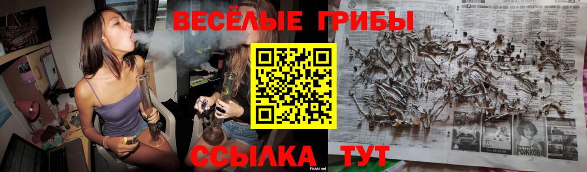 Псилоцибиновые грибы Magic Shrooms  Вход с VPN  Альметьевск  купить наркотики цена  Псилоцибиновые грибы мухоморы 